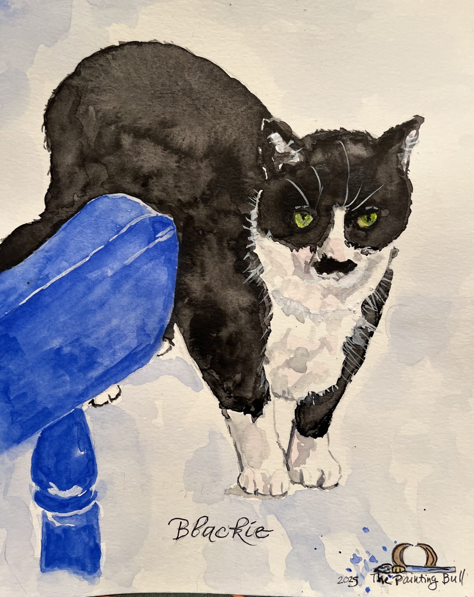 Home blackie